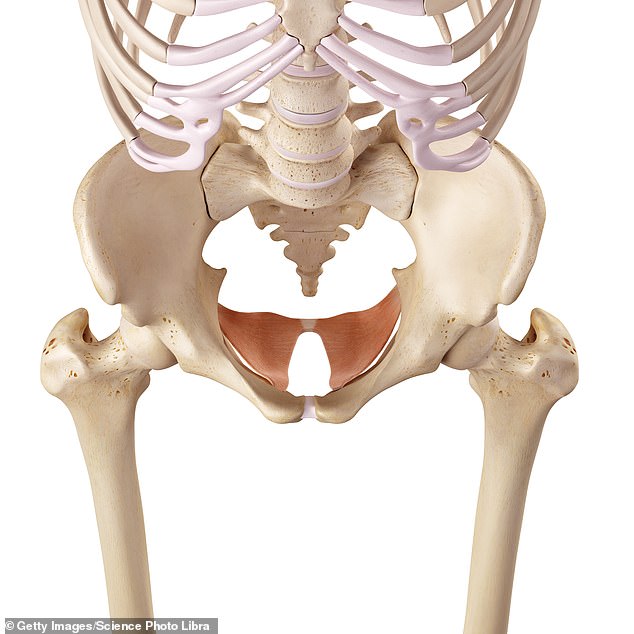 Ozempic vagina effects the pelvic floor muscles, which sit at the base of the pelvis, keeping the bladder, uterus, vagina and bowel in the right place.
