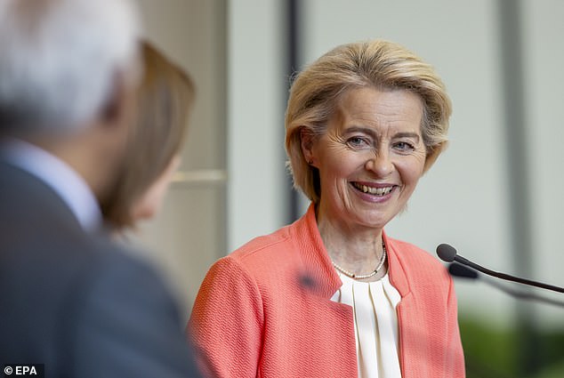 As the US announced this week it was reducing some of its aid deliveries to Ukraine, European Commission President Ursula von der Leyen (pictured) said it was a clear signal that the 27-nation European Union needed to 'step up'