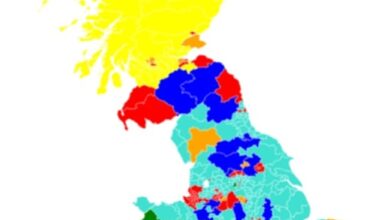 The More In Common survey found, if a general election was held today, Reform would become the largest party in the House of Commons with 290 seats.