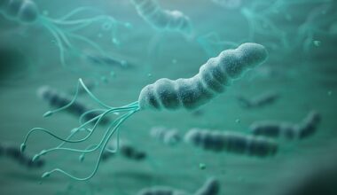 Studies have previously found 40 per cent of Britons are infected with Helicobacter pylori. Pictured a graphical representation of the bacteria