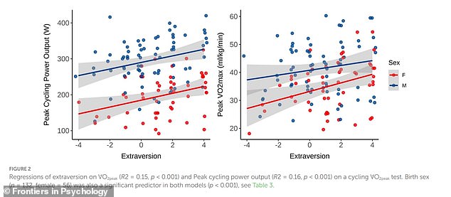 The study found several correlations between exercise type and personality traits, including extroverts’ enjoyment of high intensity exercise