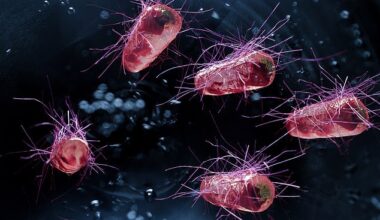 Dr Khan warned not taking your shoes when you get home can risk bringing in potentially life-threatening bacteria