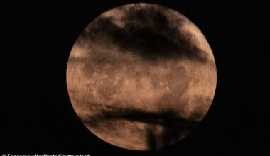 The rare illusion where the moon looks larger and orange, is expected to be visible right after the sunset, due to the combination of timing, position and distance from the sun