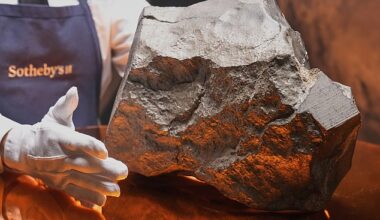 The largest Martian meteorite on Earth (pictured) will go on sale at Sotheby's in New York later this week