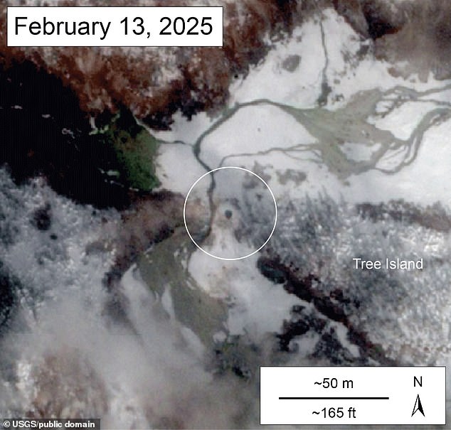 This satellite imagery dated February 15 shows the new fully-formed thermal pool at Norris Geyser Basin, Yellowstone National Park. There is no indication of the pool in images from October 19 and December 19, 2024, but a small depression is visible in a January 6 image