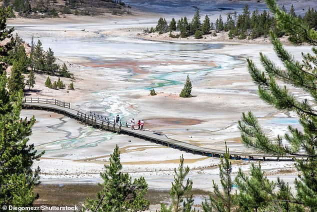 The new hole in the ground is at Norris Geyser Basin (pictured), the hottest, oldest and most dynamic of Yellowstone's thermal areas