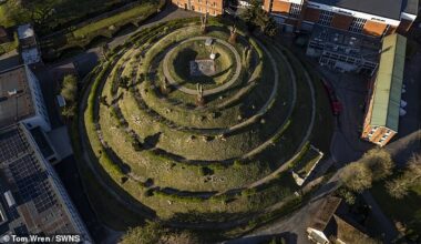 An influx of bats could scupper plans for 4,000-year-old Marlborough Mound (pictured) to be partially demolished for further research. In March, Marlborough College applied for planning permission to 'enhance its setting' by demolishing structures that 'cut into' its west side