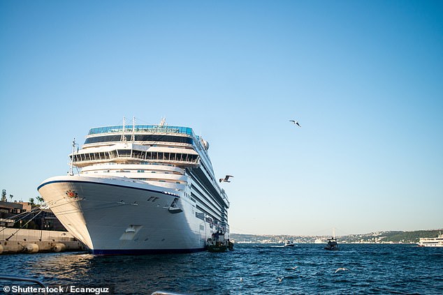 The content creator, who regularly posts about her life and travels on her TikTok page @dutchworld_americangirl , works in marketing and runs her business, Dune Travels, while sailing around the world (stock Image)