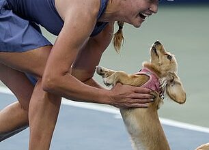 Anna Kalinskaya and her pet dog