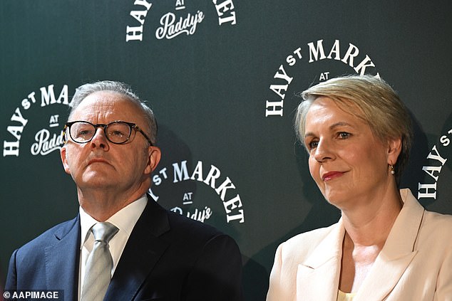 More than $109billion is set to be spent on aged care in 2025-26 as government spending as a proportion of the economy hits the highest level since 1986 outside of Covid (Prime Minister Anthony Albanese is pictured left with Social Security Minister Tanya Plibersek)