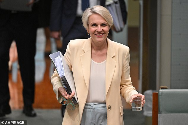 The Department of Social Services - in an incoming brief to new Social Services Minister Tanya Plibersek (pictured) - suggested lower-income Australians were paying for the lifestyles of the rich, living off the age pension under existing rules exempting the family home from the assets test