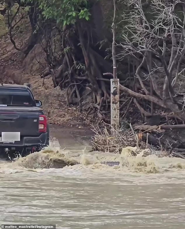 Matteo Mastratisi watched the terrifying incident unfold as the crocodile escaped unscathed