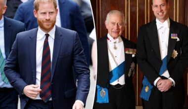 Prince Harry offering olive branch to estranged dad King Charles and brother Prince William in surprise move