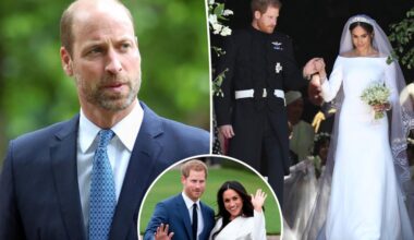 Prince William saw through Meghan Markle's marriage plan, biographer claims