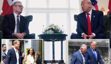 Royal fans cheer Trump seemingly 'throwing shade' at Prince Harry, Meghan Markle