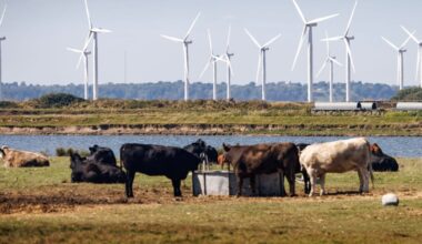 UK fights to preserve animal welfare standards in Brexit reset deal – POLITICO