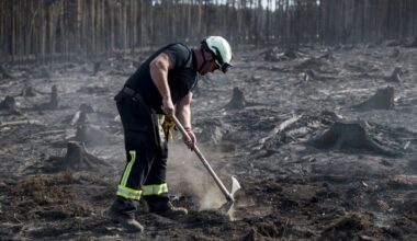 Firefighters across Europe battle wildfires as blazes continue in Germany, Greece and Turkey