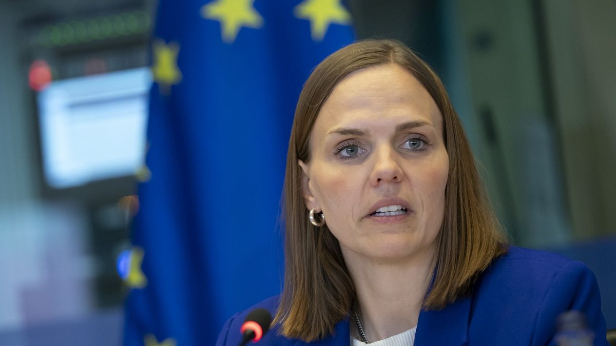 EU should simplify its AI Act and digital rulebook, says Danish minister