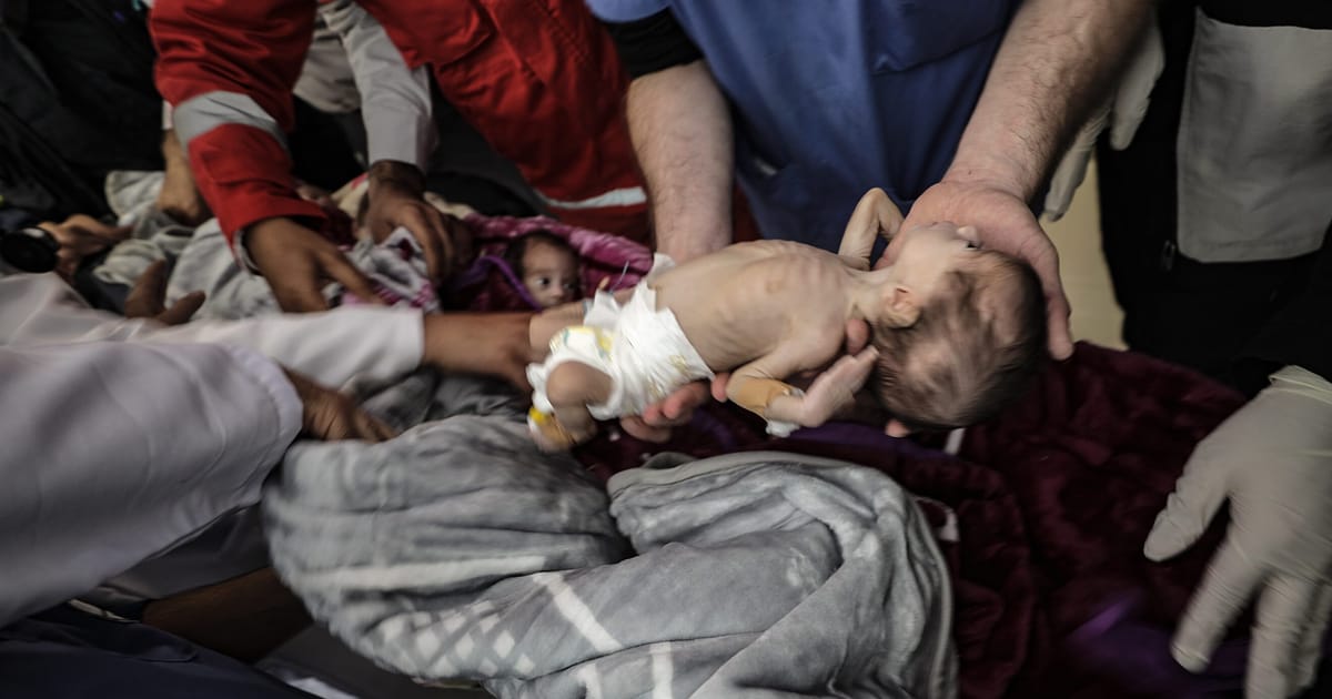 EU ‘too little, too late’ on Gaza, NGOs tell von der Leyen – POLITICO