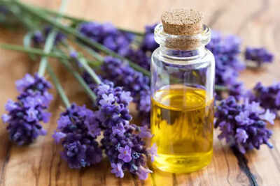 Hair growth oil: How to use Lavender oil for hair growth
