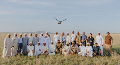 Why is UAE releasing its most treasured Falcons thousands of miles away from home?