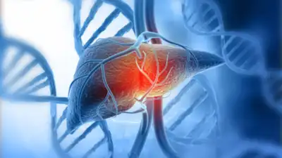 Top 3 foods for liver health backed by a US doctor: What to eat for a stronger liver