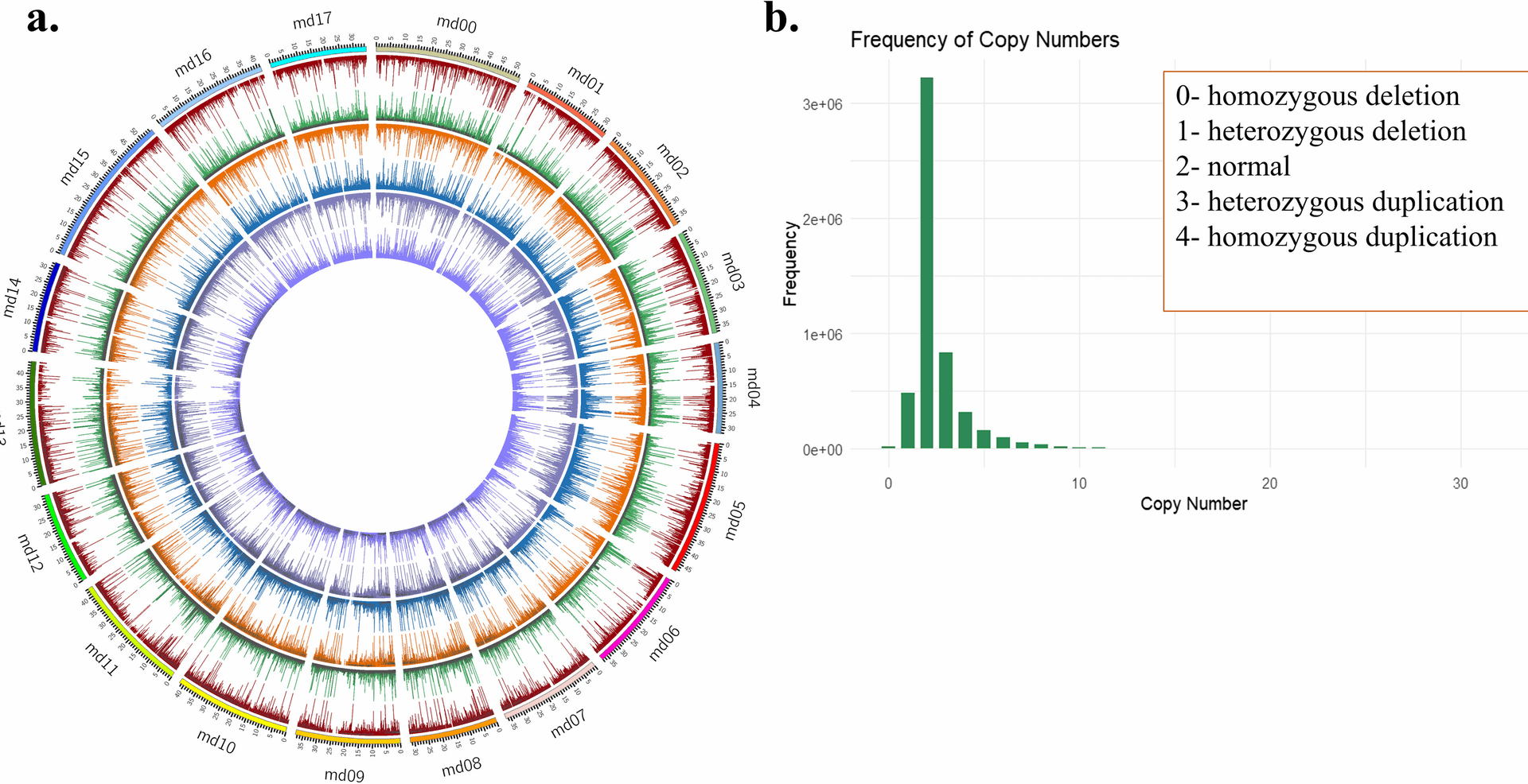 Population-level gene copy number variations reveal distinct genetic properties of different Malus species | BMC Genomics