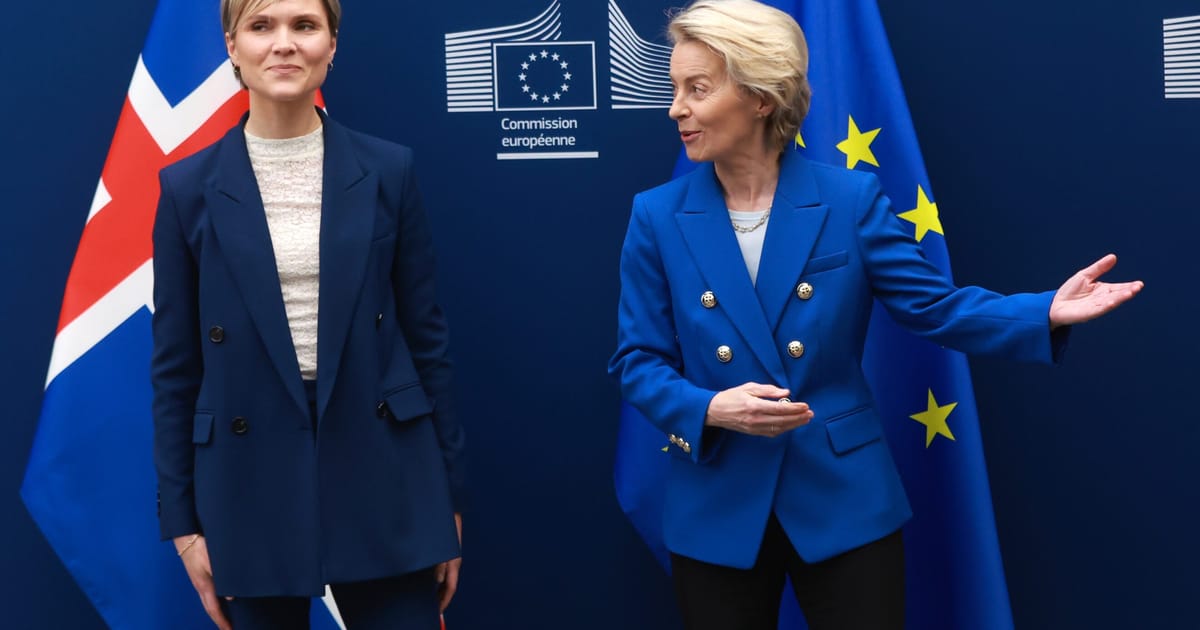 Icelanders support reboot of EU accession talks, foreign minister says – POLITICO