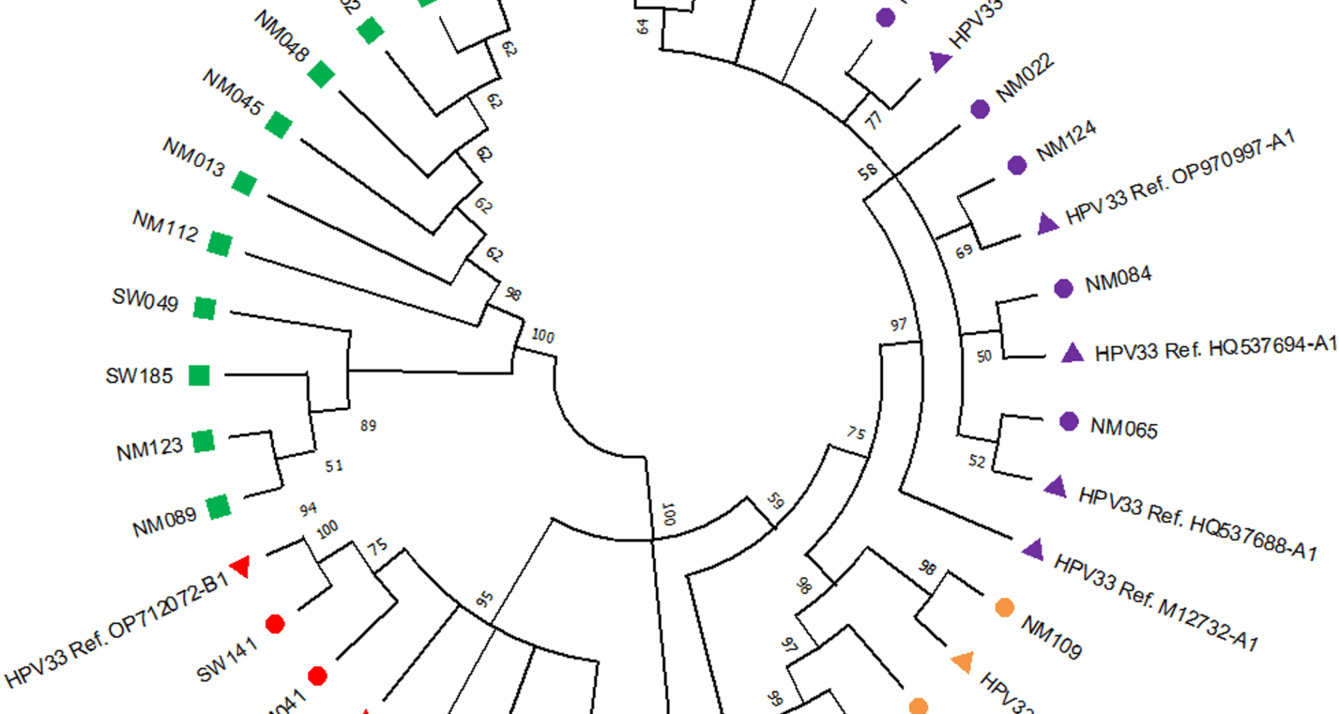 Genetic variability in HPV 33 and 35 E6 and E7 genes from South African and Mozambican women with different cervical cytology status | Virology Journal