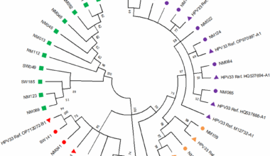Genetic variability in HPV 33 and 35 E6 and E7 genes from South African and Mozambican women with different cervical cytology status | Virology Journal