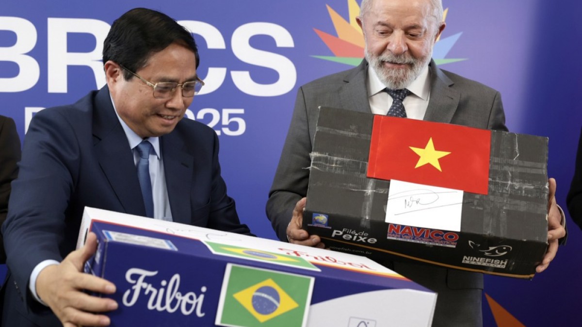 Brazil hosts BRICS summit; Russia’s Putin, China’s Xi skip Rio trip | International Trade News