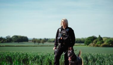 Nine findings from the BBC annual report - Broadcast