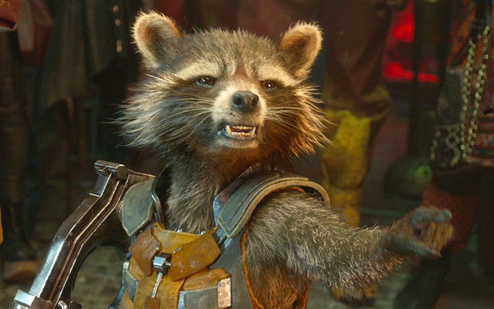 guardians of the galaxy's rocket raccoon