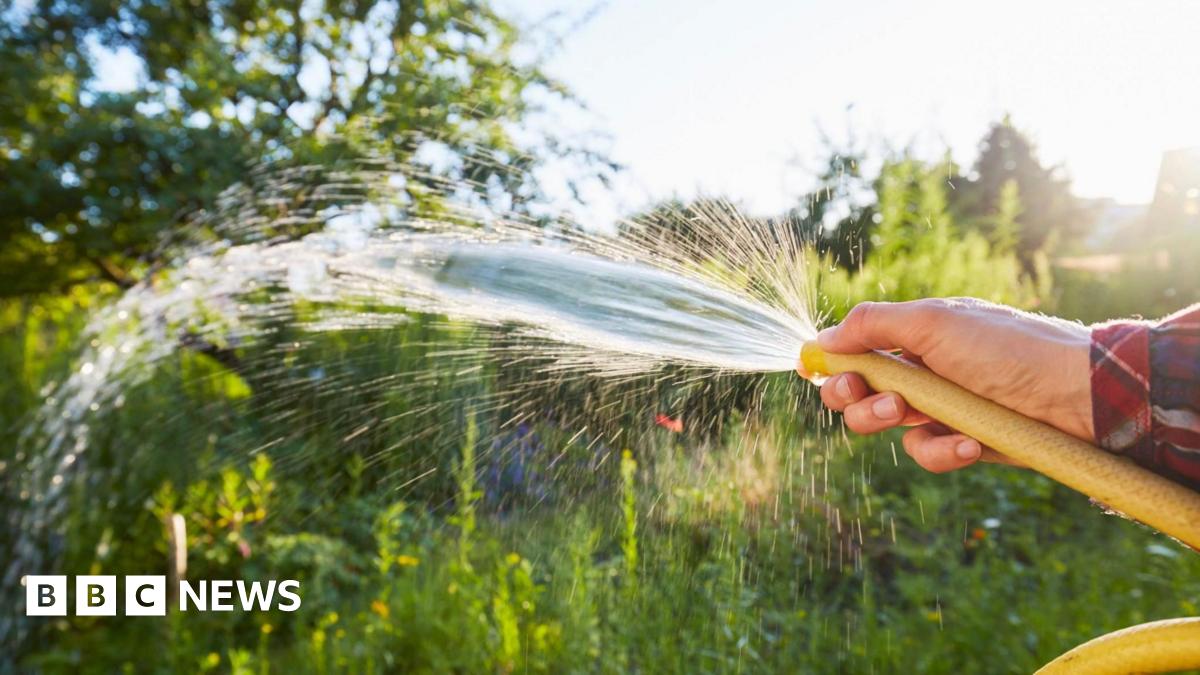 A hand holding a hosepipe with water squirting from its end. There are green plants in the background.