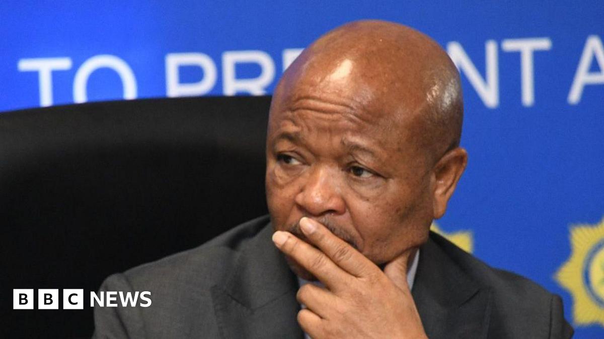 South Africa's Police Minister Senzo Mchunu. Photo: 13 June 2025