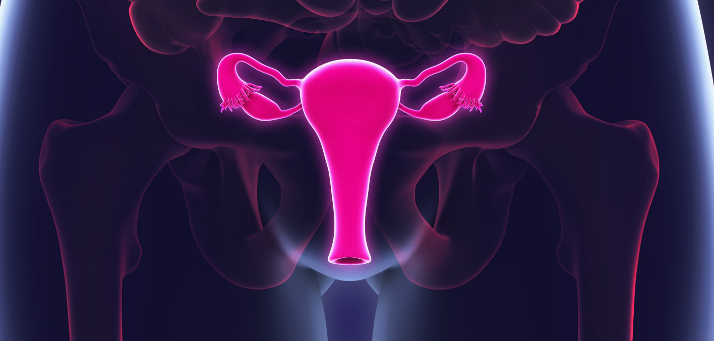 New Genetic Marker Linked to Improved Survival With Immunotherapy in Ovarian and Other Cancers