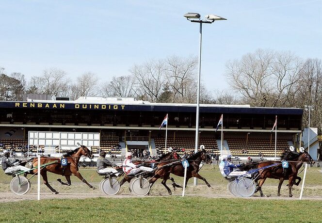 Developer steps in to rescue historic Duindigt racecourse
