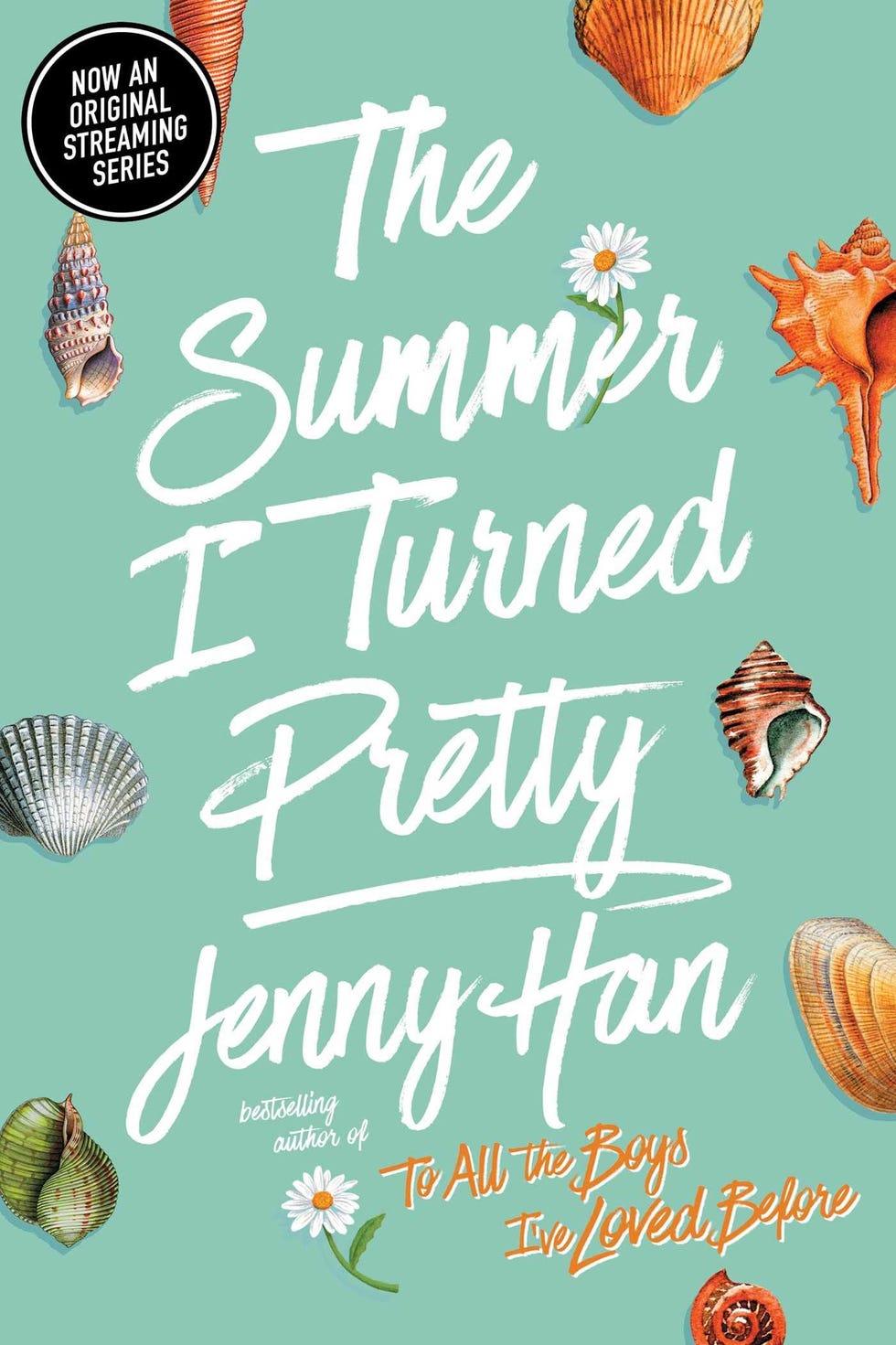 The Summer I Turned Pretty (2009)