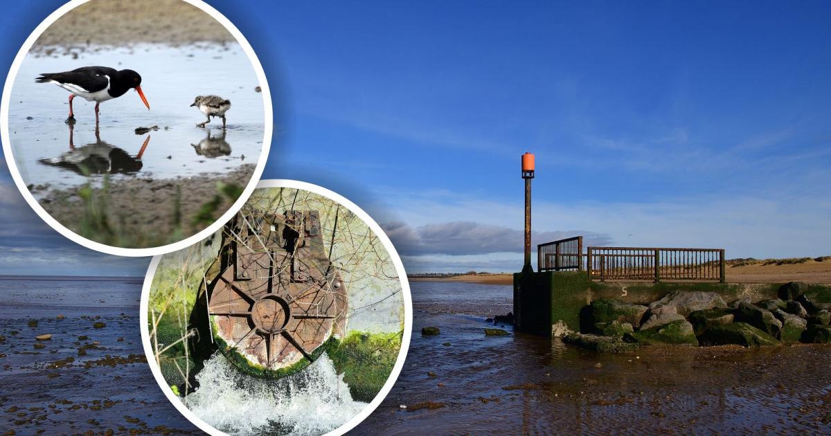 Heacham water quality issues sparks debate about future