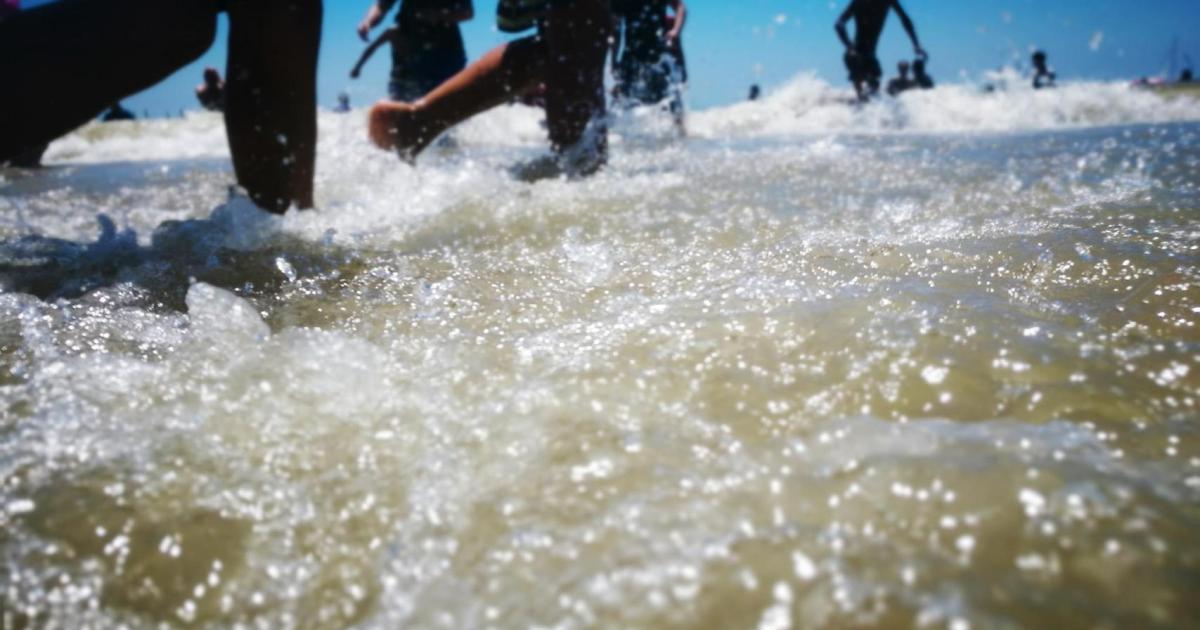 What to do if you get bitten by a fish in Mallorca