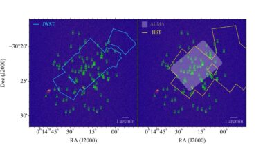 Radio observations shed more light on the properties of Pandora's Cluster