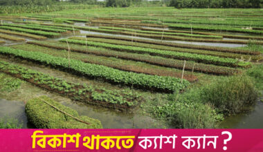 More than half of Bangladesh's agri land economically unsustainable: BBS survey