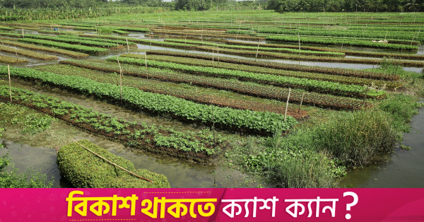 More than half of Bangladesh's agri land economically unsustainable: BBS survey