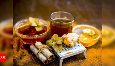 Ayurveda gets the spotlight in new documentary, The Double Helix of Life
