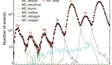 Dark Matter Particle Explorer obtains high-precision cosmic-ray boron spectrum