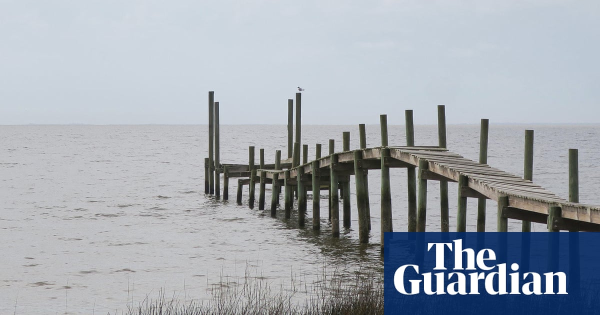 ‘This bill protects our precious waters’: how a Florida environmental group scored a win against big oil | Florida