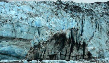 Homer author’s new book puts facts and stories about Alaska glaciers at your fingertips