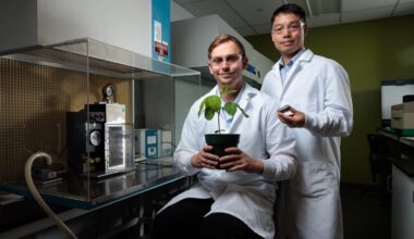 New 'gene gun' design boosts efficiency of plant genetic modification