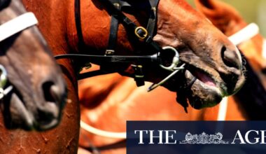 Donegal Bay can pay back loyal punters at last
