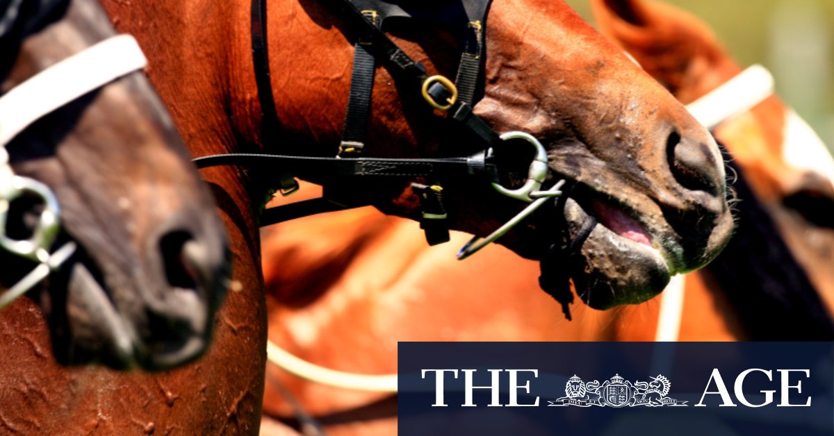 Donegal Bay can pay back loyal punters at last